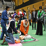 Disaster preparedness culture in Japan and Indonesia: cultural ...